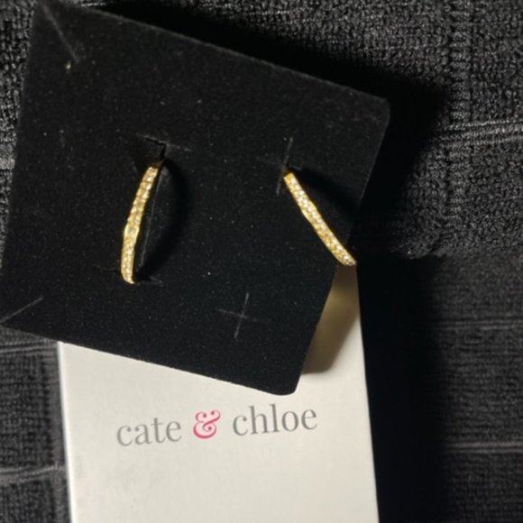 NWT, CATE & CHLOE - Picture 2 of 3